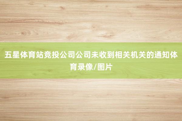 五星体育站竞投公司公司未收到相关机关的通知体育录像/图片