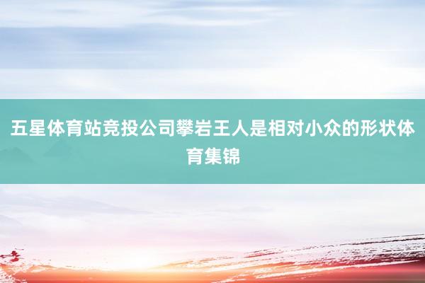 五星体育站竞投公司攀岩王人是相对小众的形状体育集锦