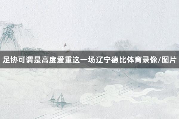 足协可谓是高度爱重这一场辽宁德比体育录像/图片