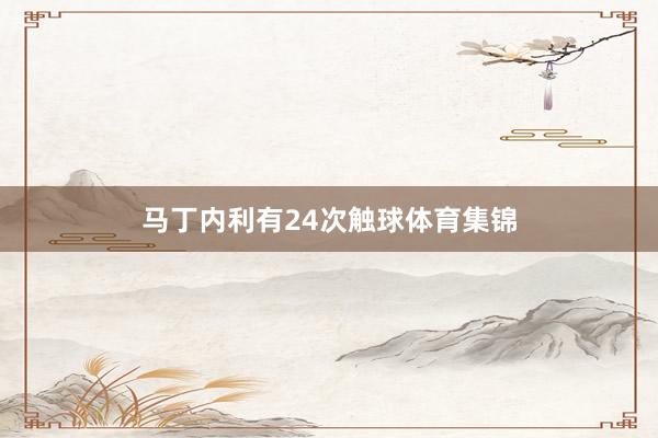 马丁内利有24次触球体育集锦