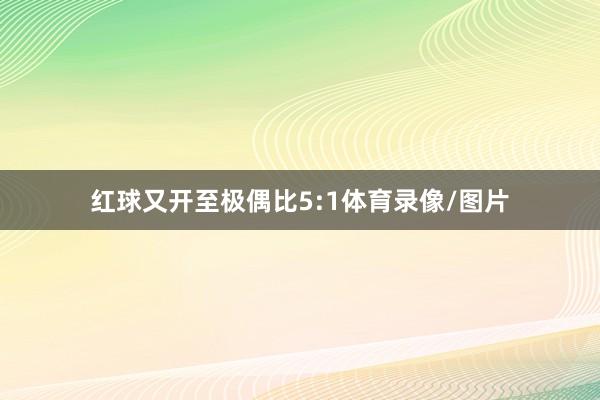 红球又开至极偶比5:1体育录像/图片