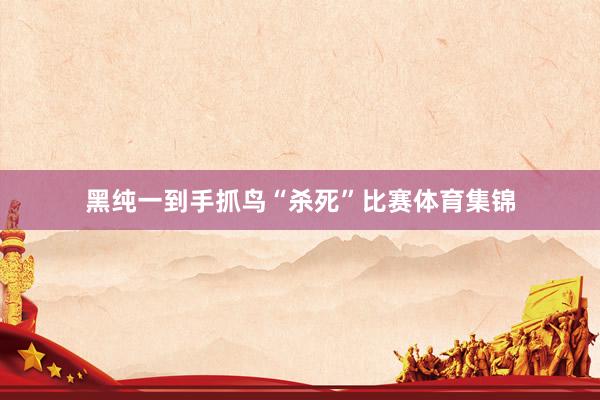 黑纯一到手抓鸟“杀死”比赛体育集锦