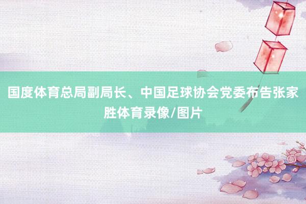 国度体育总局副局长、中国足球协会党委布告张家胜体育录像/图片