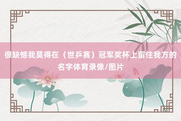 很缺憾我莫得在（世乒赛）冠军奖杯上留住我方的名字体育录像/图片