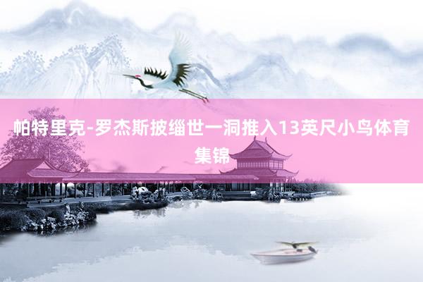 帕特里克-罗杰斯披缁世一洞推入13英尺小鸟体育集锦