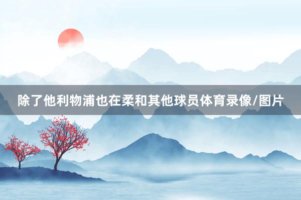 除了他利物浦也在柔和其他球员体育录像/图片