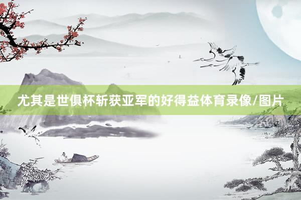 尤其是世俱杯斩获亚军的好得益体育录像/图片