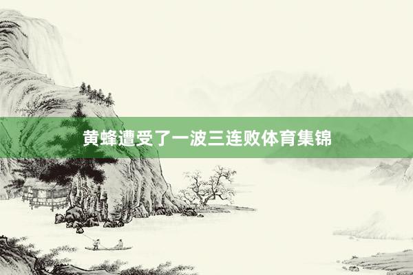黄蜂遭受了一波三连败体育集锦
