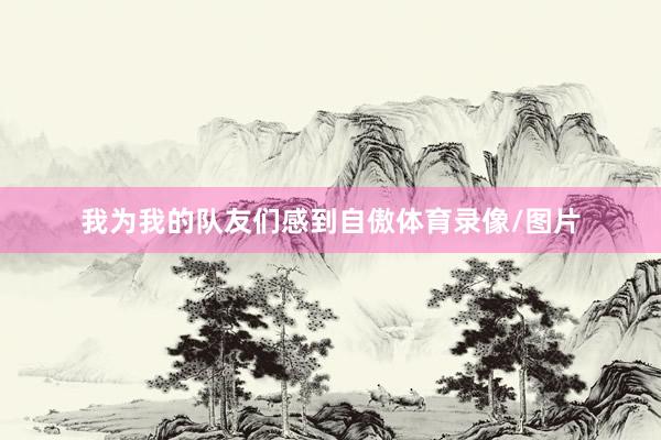 我为我的队友们感到自傲体育录像/图片